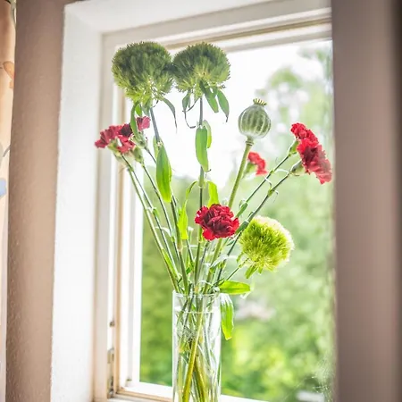 Alte Schmiede G*** Lueckendorf Fogadó