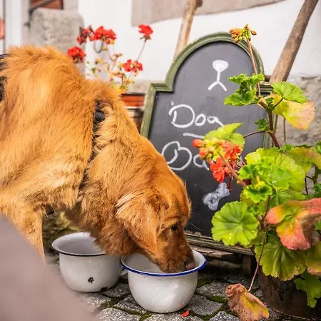 Alte Schmiede G*** Lückendorf Luftkurort Lückendorf