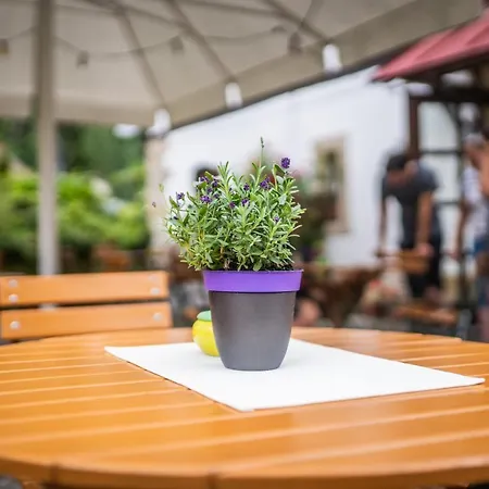 Alte Schmiede G*** Lückendorf Gasthof 3*