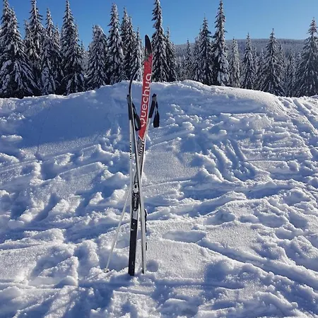 Alte Schmiede G*** Lueckendorf Fogadó