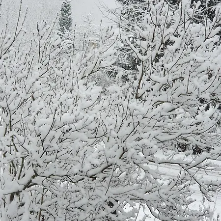 Fogadó Alte Schmiede G*** Lueckendorf 3*