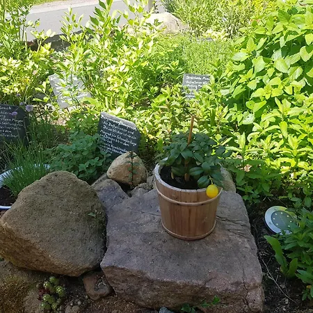 Inn Alte Schmiede G*** Lueckendorf Luftkurort Luckendorf