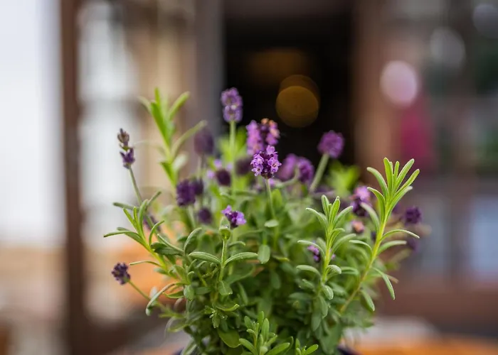 Alte Schmiede G*** Lueckendorf Inn Luftkurort Luckendorf