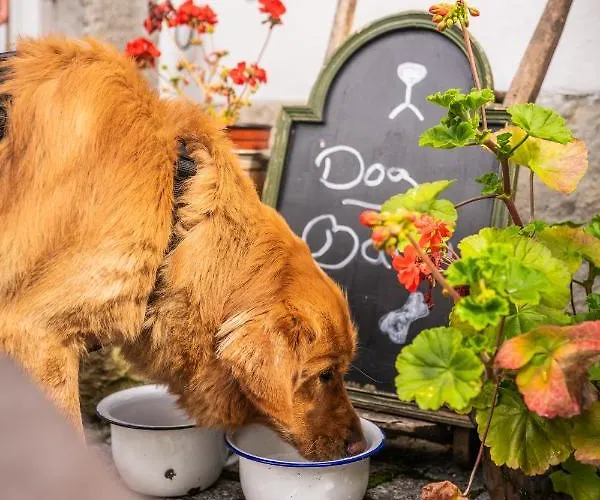 Alte Schmiede G*** Lueckendorf Luftkurort Luckendorf