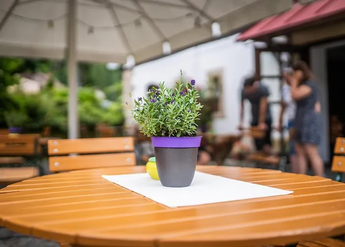 Alte Schmiede G*** Lueckendorf Inn 3*