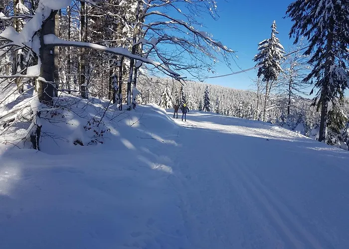 Alte Schmiede G*** Lueckendorf Luftkurort Luckendorf