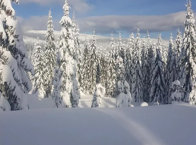 Inn Alte Schmiede G*** Lueckendorf