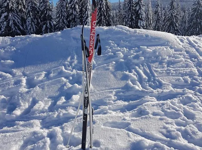 Alte Schmiede G*** Lueckendorf Inn