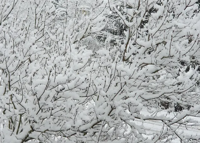 Inn Alte Schmiede G*** Lueckendorf 3*