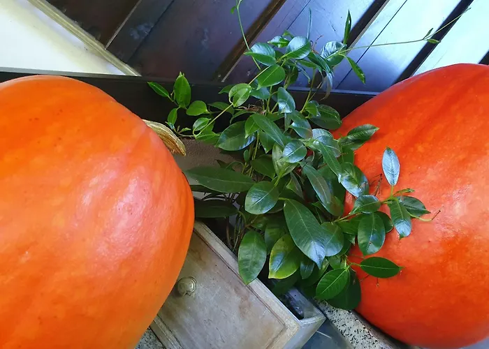 Inn Alte Schmiede G*** Lueckendorf Luftkurort Luckendorf