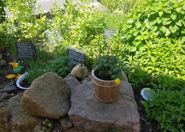 Inn Alte Schmiede G*** Lueckendorf Luftkurort Luckendorf